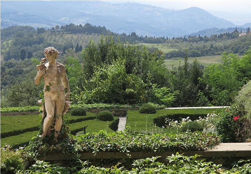 garden, landscape